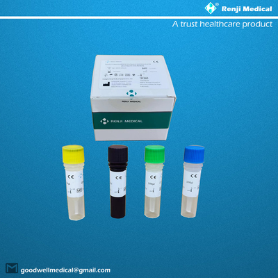 Nowatorski zestaw do testowania kwasu nukleinowego koronawirusa COVID-19 CE Jakościowy test Rt Pcr