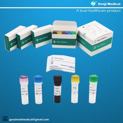 Monkeypox Virus (MPV) Zestaw do wykrywania kwasu nukleinowego Szybki test Zestaw domowy Zestaw do PCR w czasie rzeczywistym