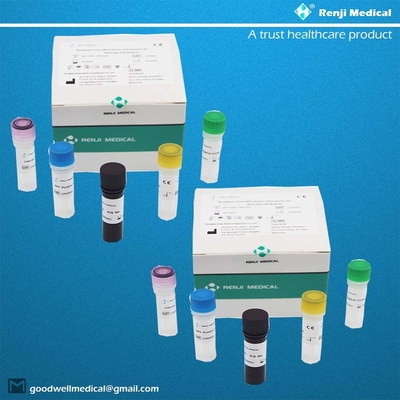 Monkeypox Virus (MPV) Zestaw do wykrywania kwasu nukleinowego Szybki test Zestaw domowy Zestaw do PCR w czasie rzeczywistym